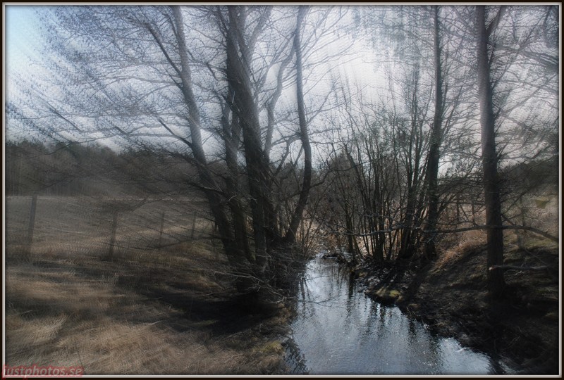 a stream in a field sweden