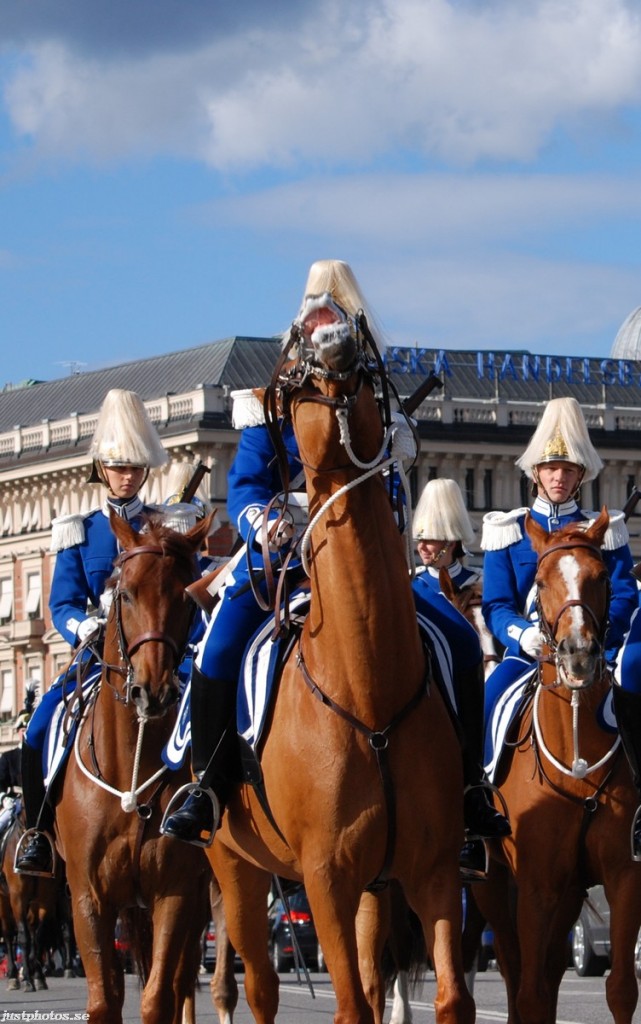 Swedish mounted Royal guard