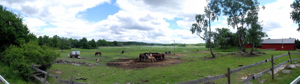 On a walk in suburban Stockholm