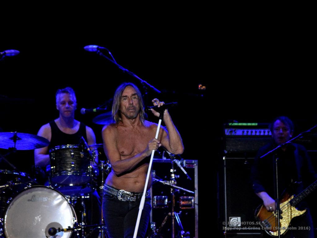 Iggy Pop concert 2016 in Stockholm3