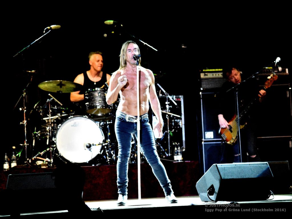 Iggy Pop concert 2016 in Stockholm8