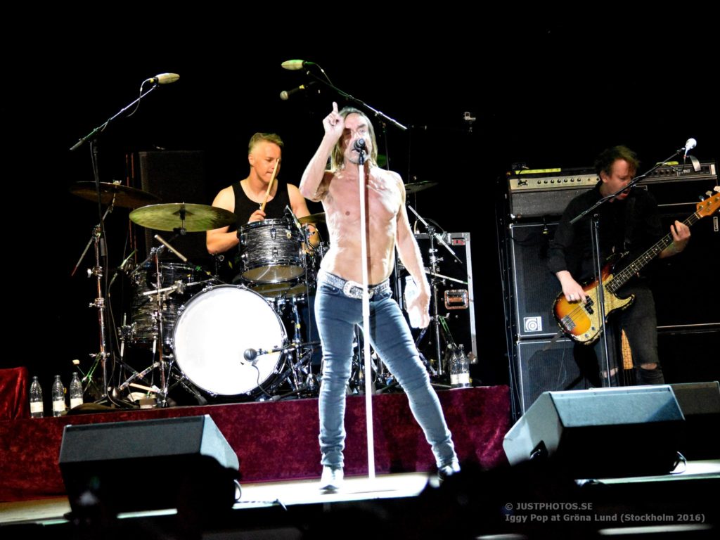 Iggy Pop concert 2016 in Stockholm9