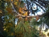uppsala_park3