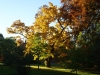 uppsala_park4