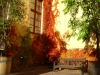 uppsala_park5